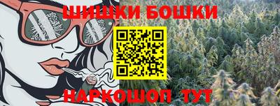 стафф Ставрополь