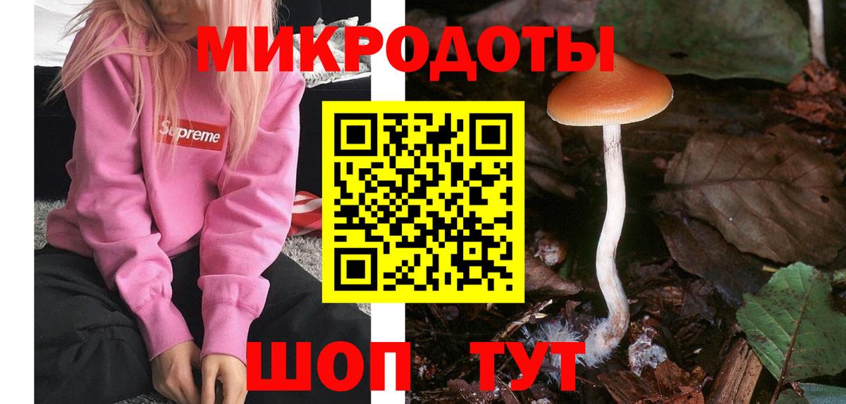 Галлюциногенные грибы Psilocybine cubensis Валуйки