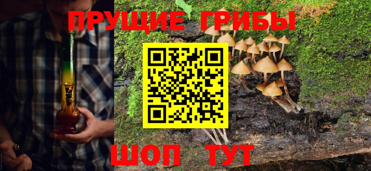 Галлюциногенные грибы Psilocybine cubensis  Вход с VPN  Галлюциногенные грибы Cubensis  Валуйки 
